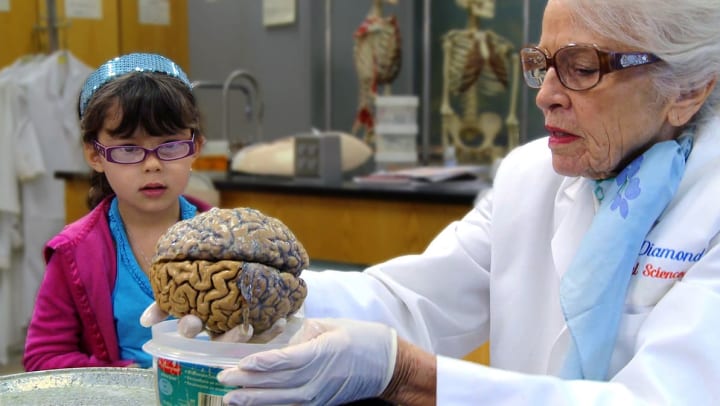 Women’s History Month: Trailblazers in Neurology