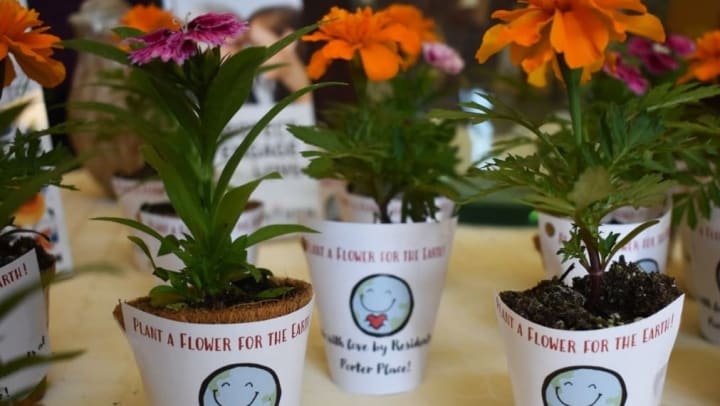 Porter Place Residents Pot Flowers for Local Visitors to Celebrate Earth Day!
