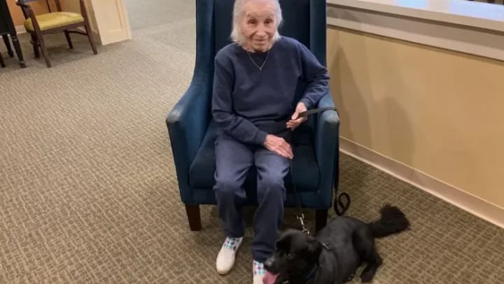 Porter Place Resident Asks for Donations to Local Animal Shelter to Celebrate Her 100th Birthday