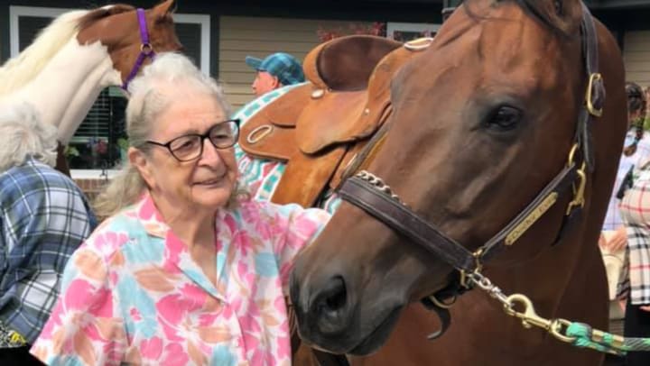 A Horse Show to Raise Money for Alzheimer’s Disease? Why Not?!