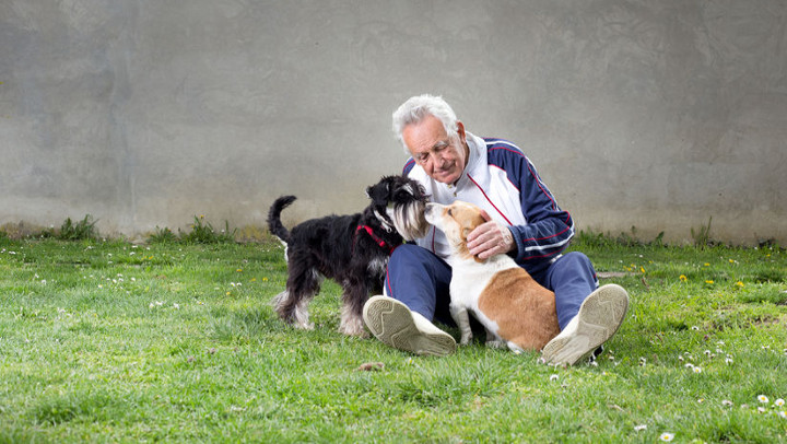 Can Animals Really Benefit Your Loved One with Dementia?