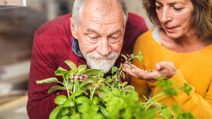 Alzheimer's Disease and Our 5 Senses: What Caregivers Should Know