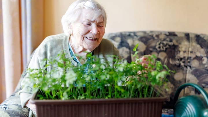 Gardening for Those With Dementia: Great Fun, Great Therapy!
