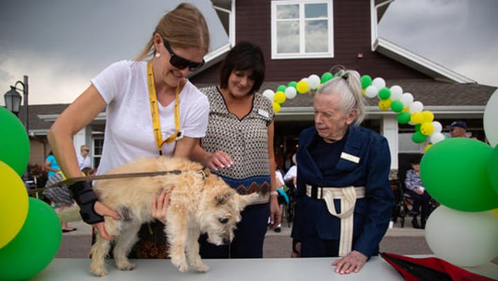 87-Year Old Memory Care Resident Judges A Very Special Dog Show