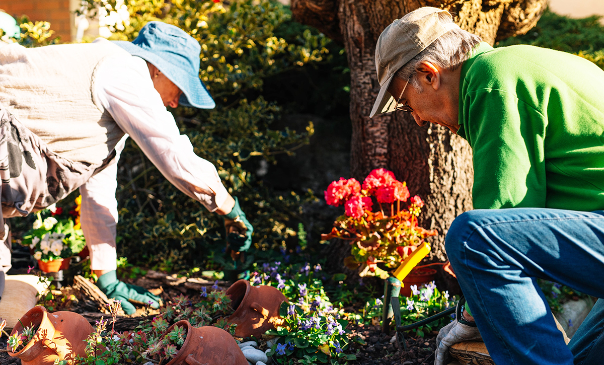 National Gardening Month: How Gardening Brings Joy and Connection to Individuals with Dementia