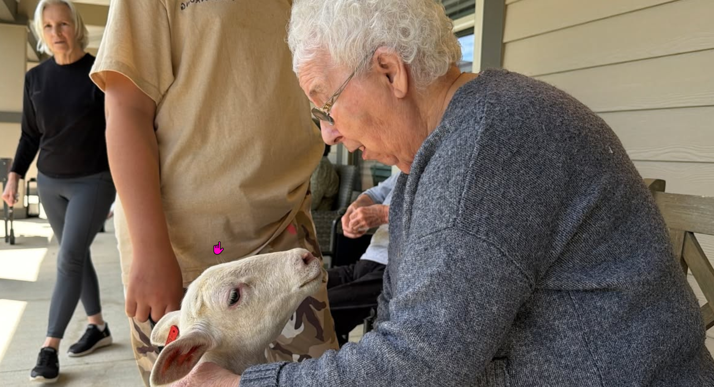 Lambs Bring Instant Connection and Joy to Liberty Place Residents