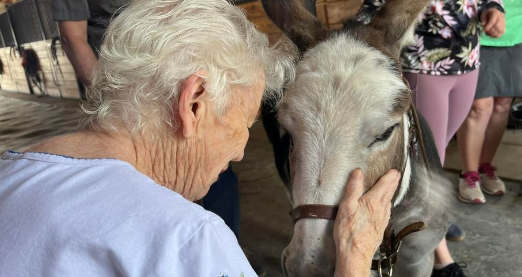 The Power of Animal Therapy for Individuals with Dementia