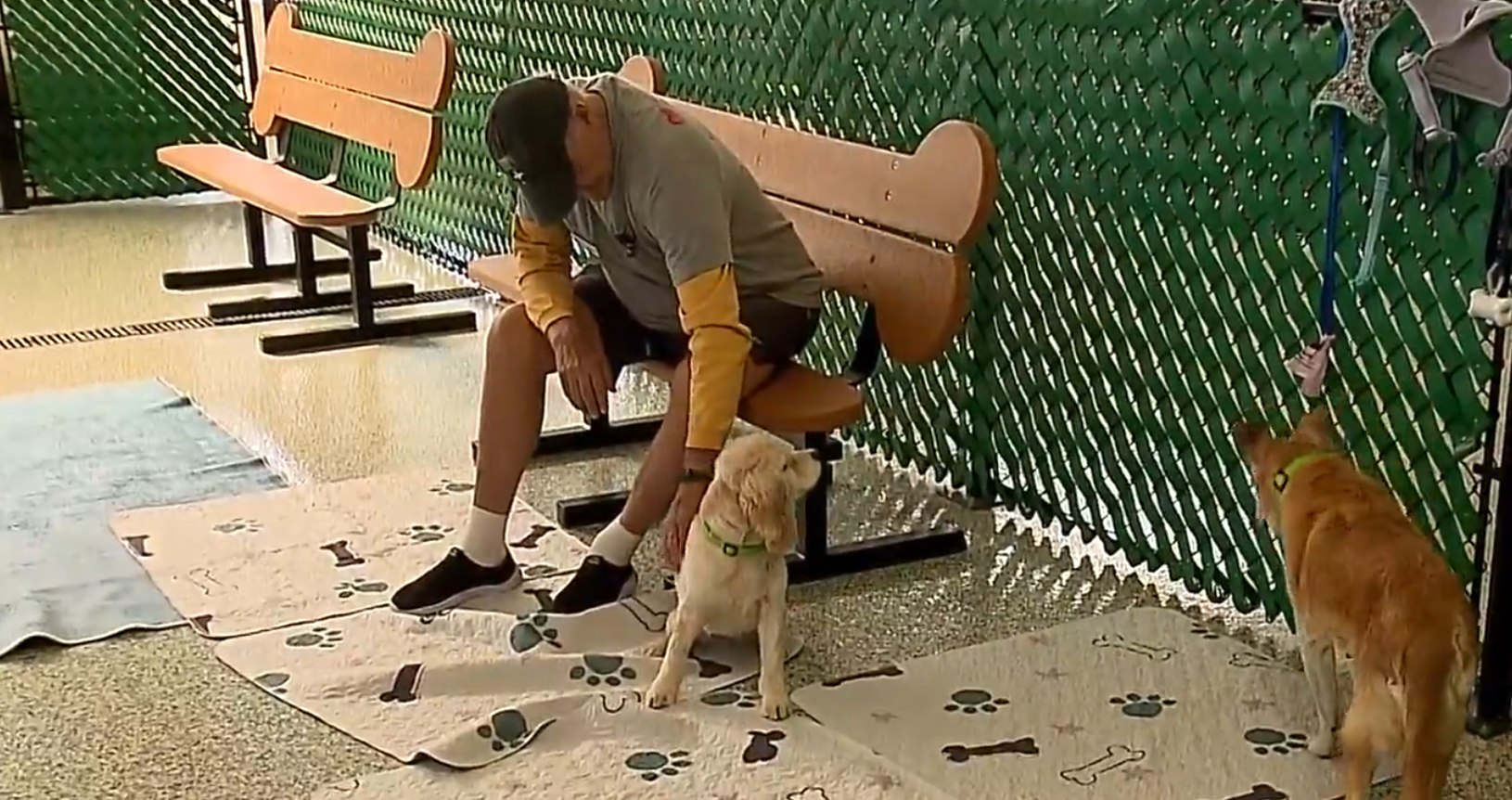 Highline Residents Visit Senior Dog Sanctuary