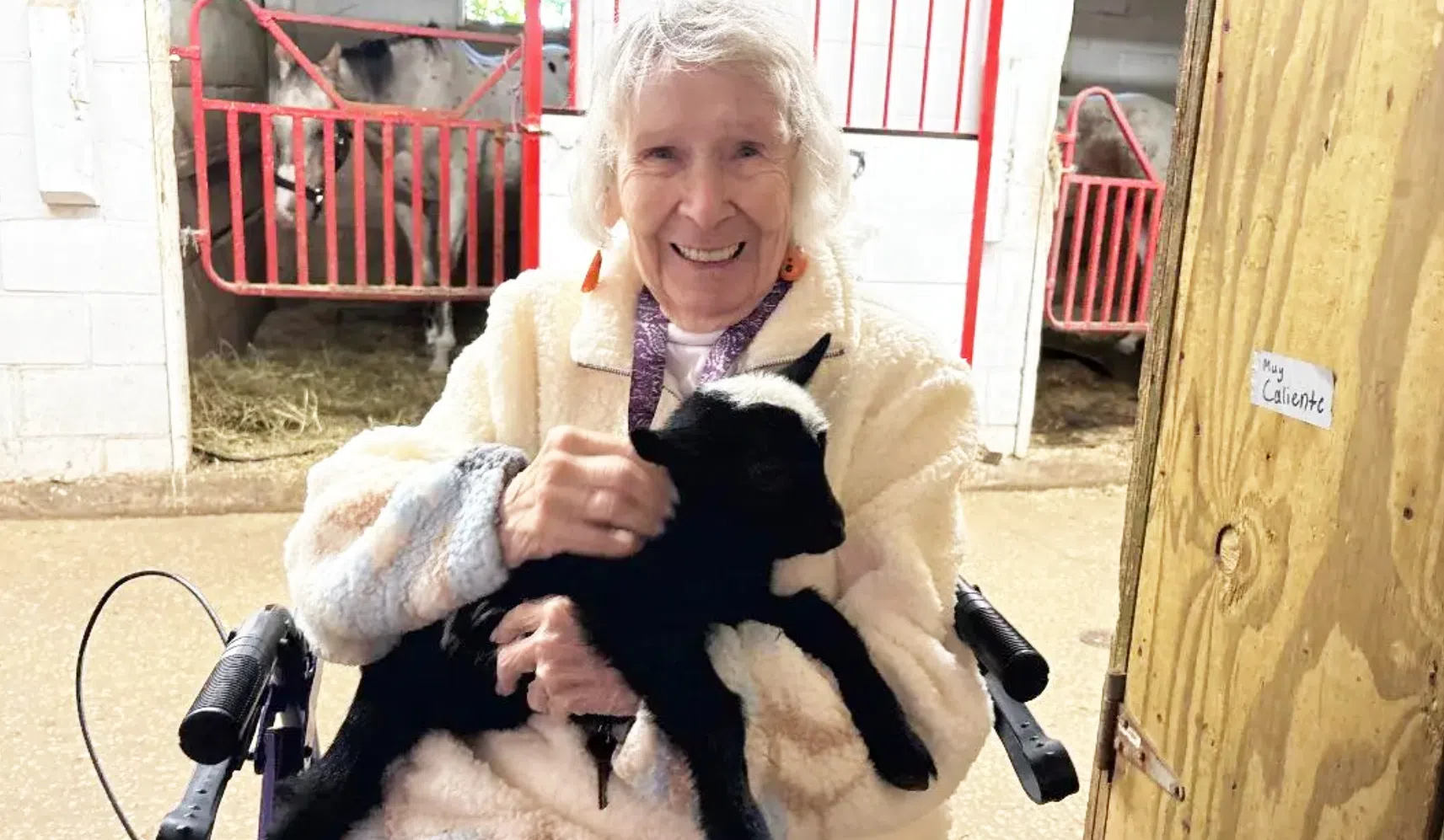 Grace Point Place Residents Make Meaningful Connections at Memory Lane Stables