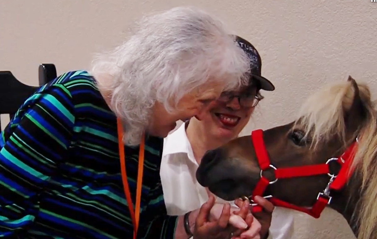 Tiny Horse Brings Big Smiles at Savoy Place