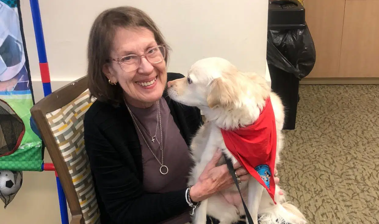 Bringing Joy and Comfort Through Animal-Assisted Therapy