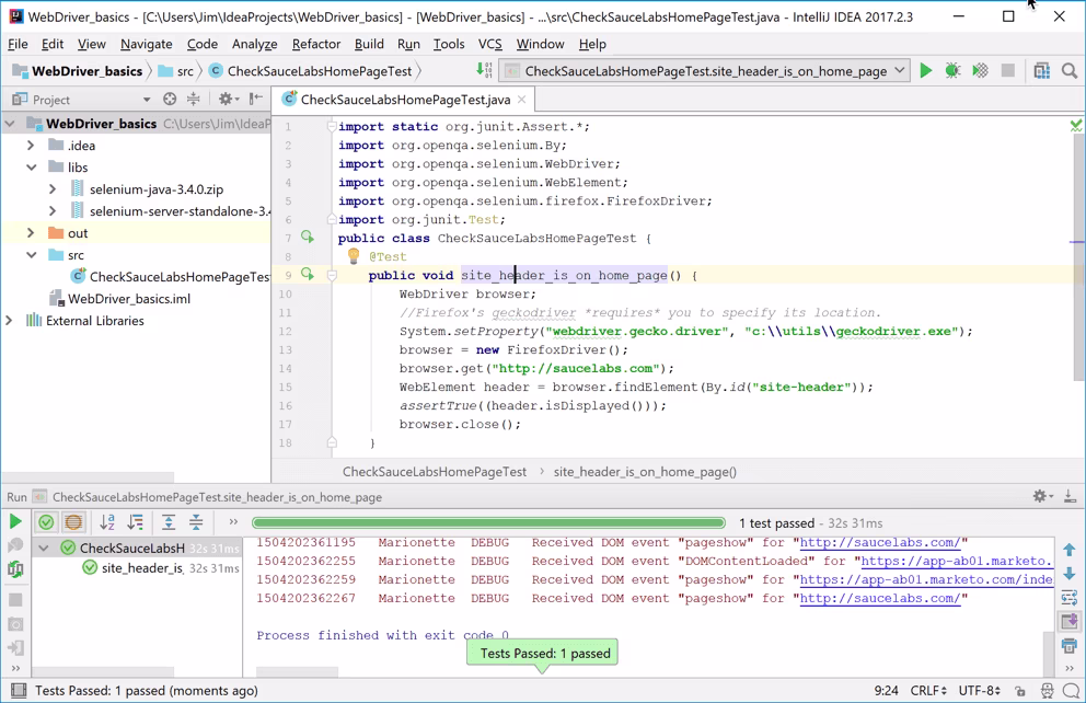 14-windows-intellij-green