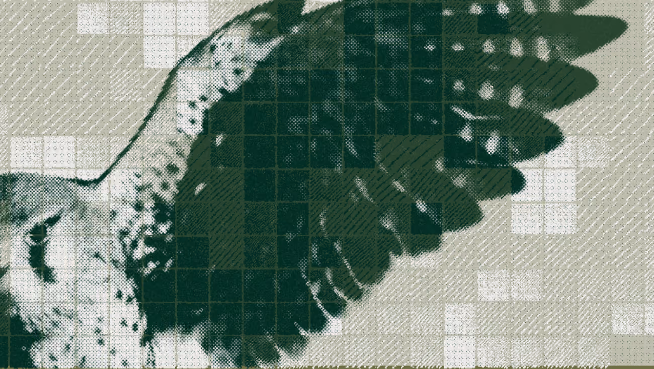 Default Thumbnail - Green