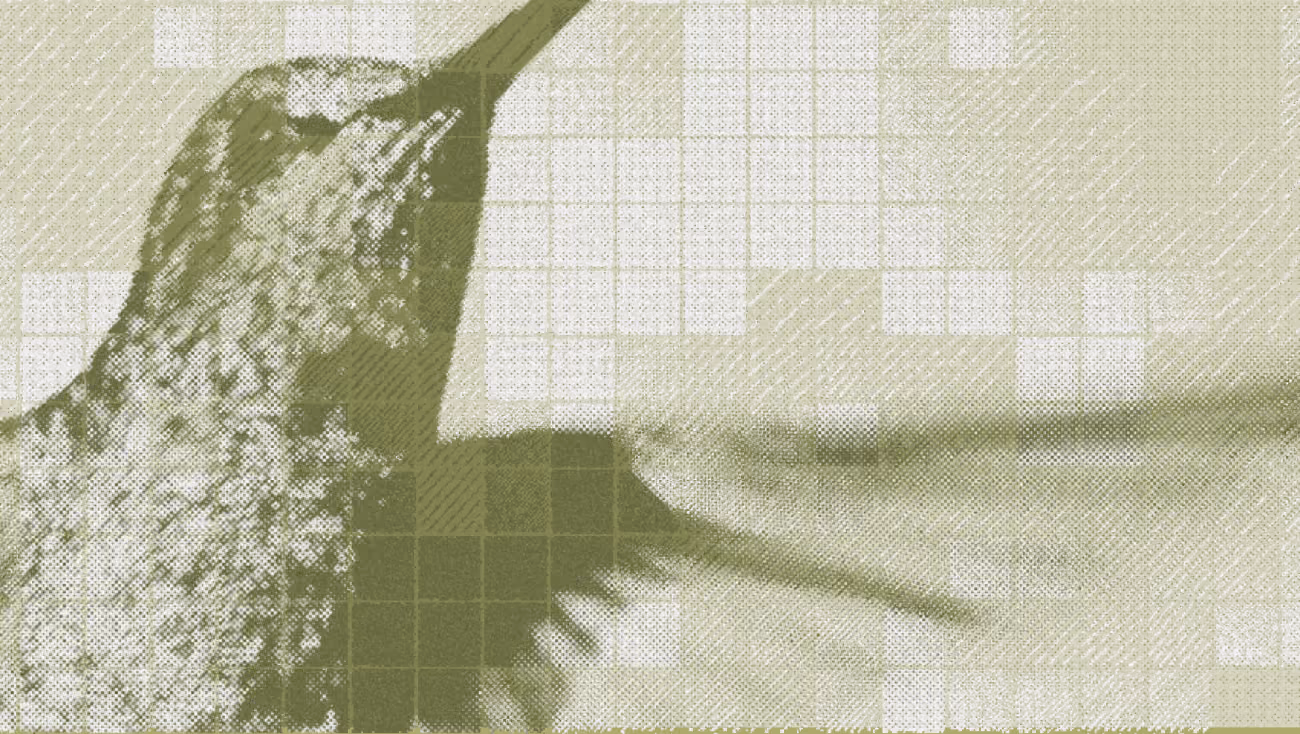 Sauce Labs launches AURA platform announcement graphic with dark geometric pattern header and text on light background.
