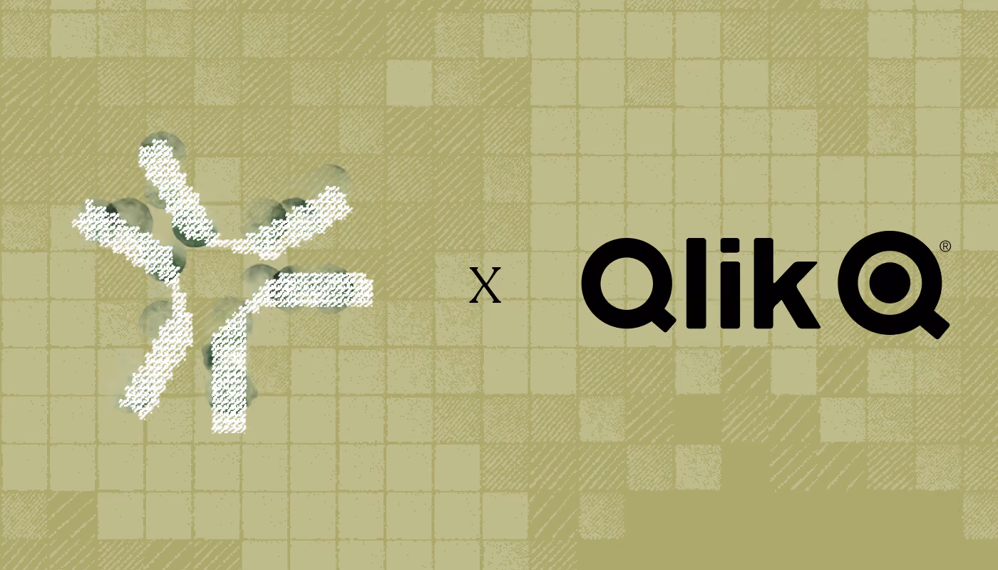 Case Study - Qlik