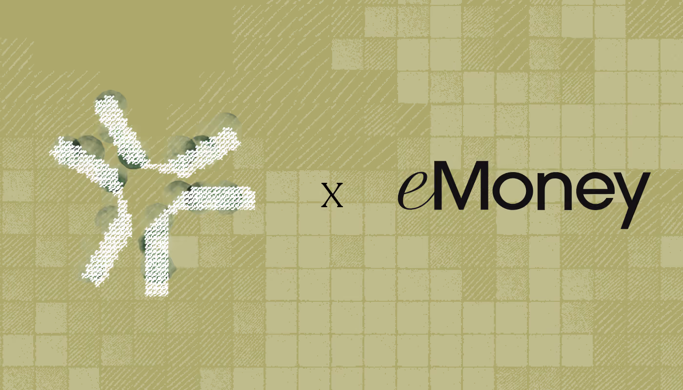 eMoney-case-study
