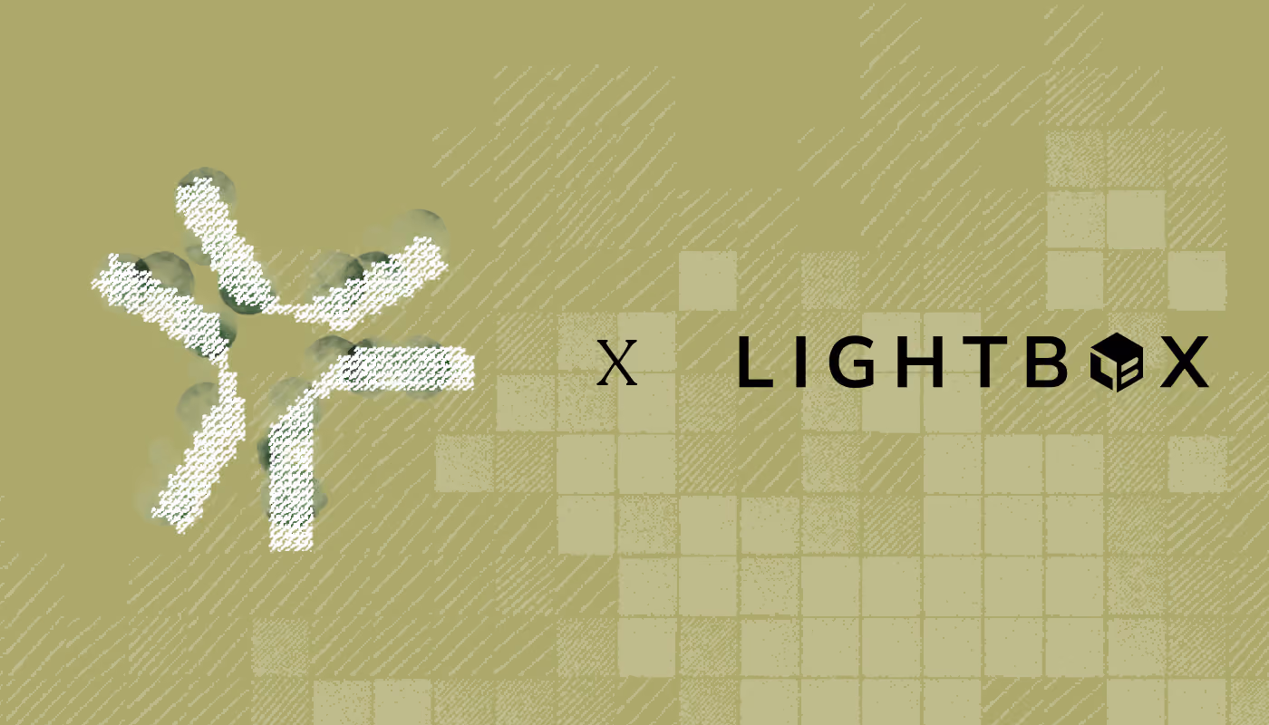 Case Study - Lightbox