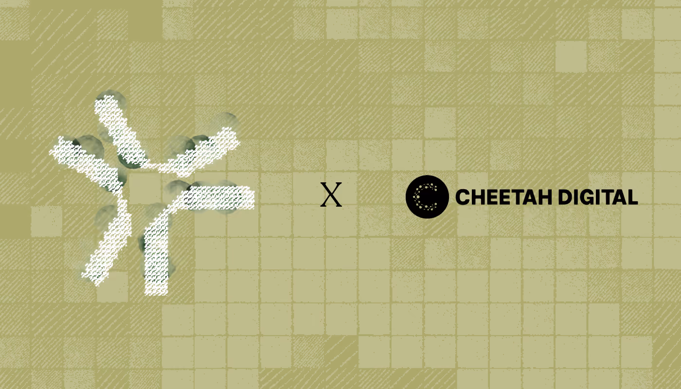 Case Study - Cheetah Digital