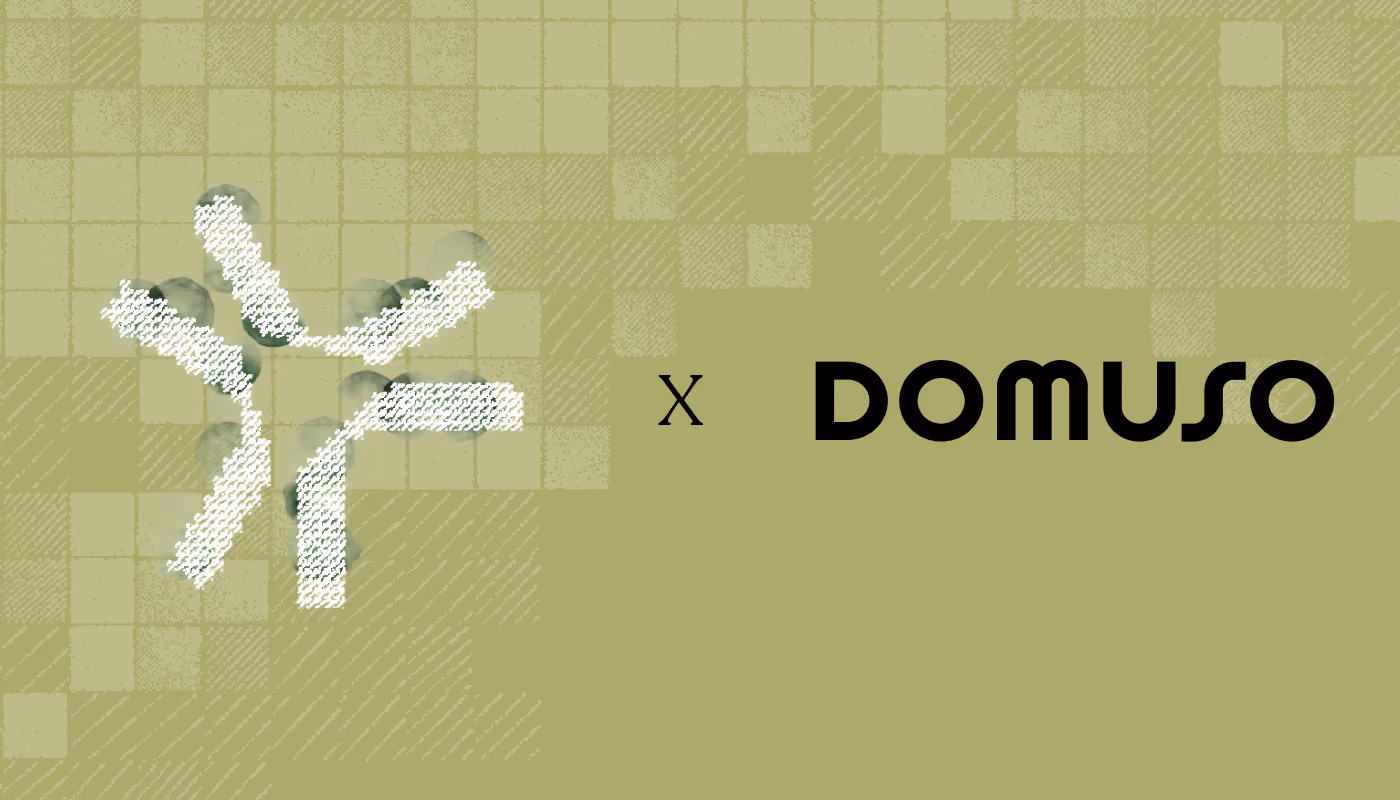 Case Study - domuso