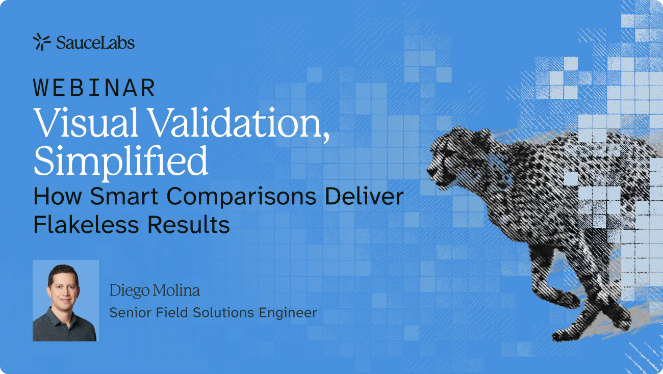 Visual Validation, Simplified-Thumbnail-Replay
