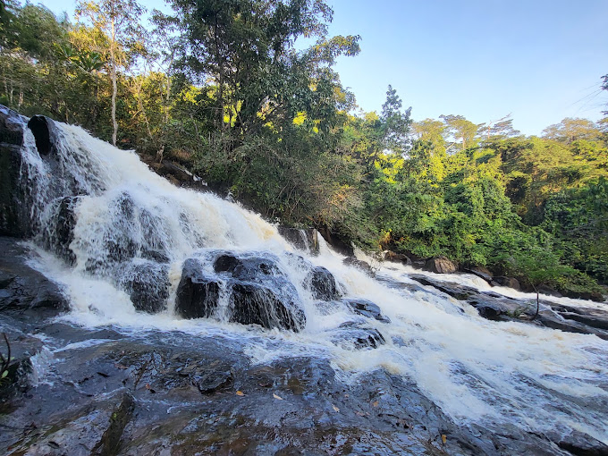 Wide waterfall cascading over dark rocks surrounded by dense green forest under clear blue sky.