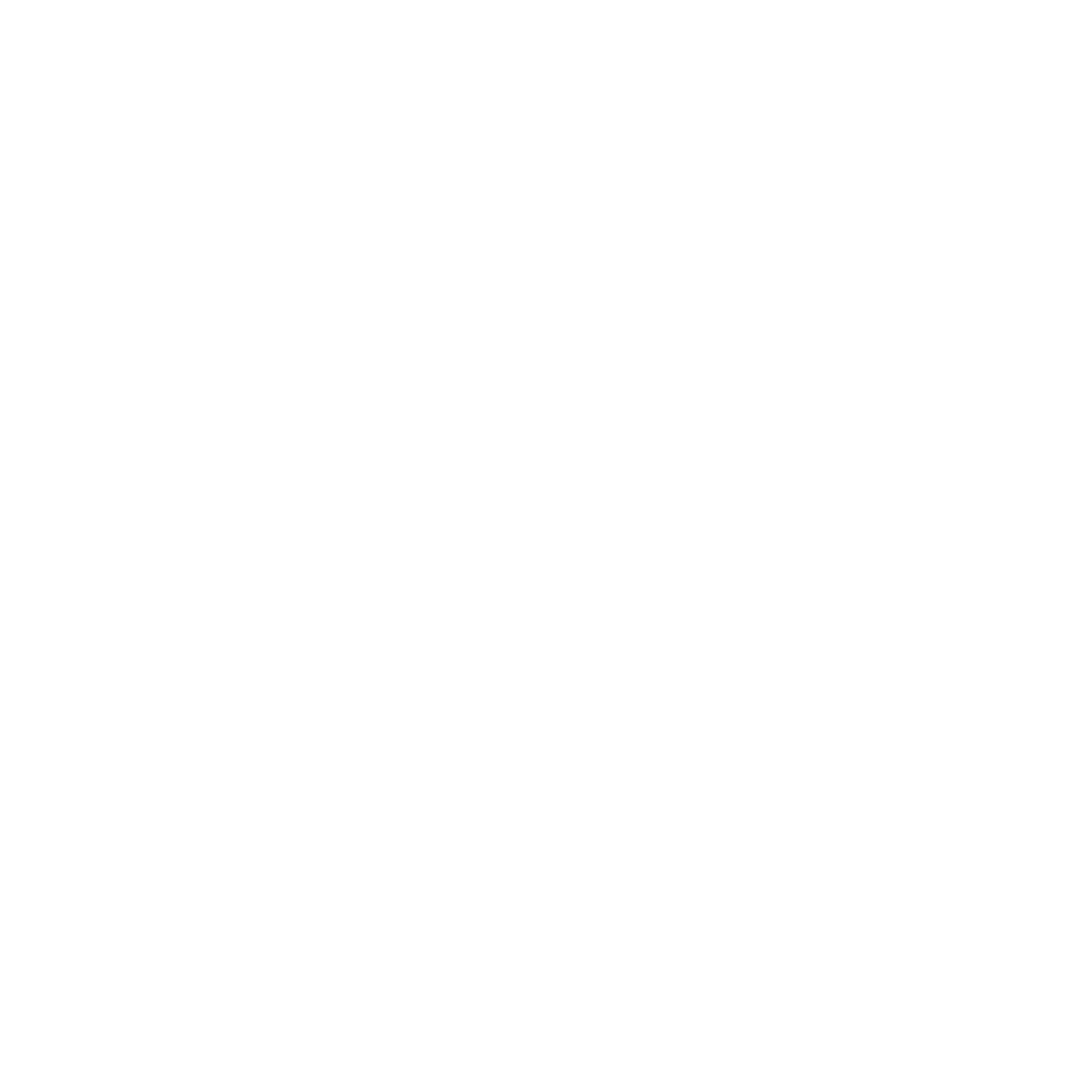 white phone icon