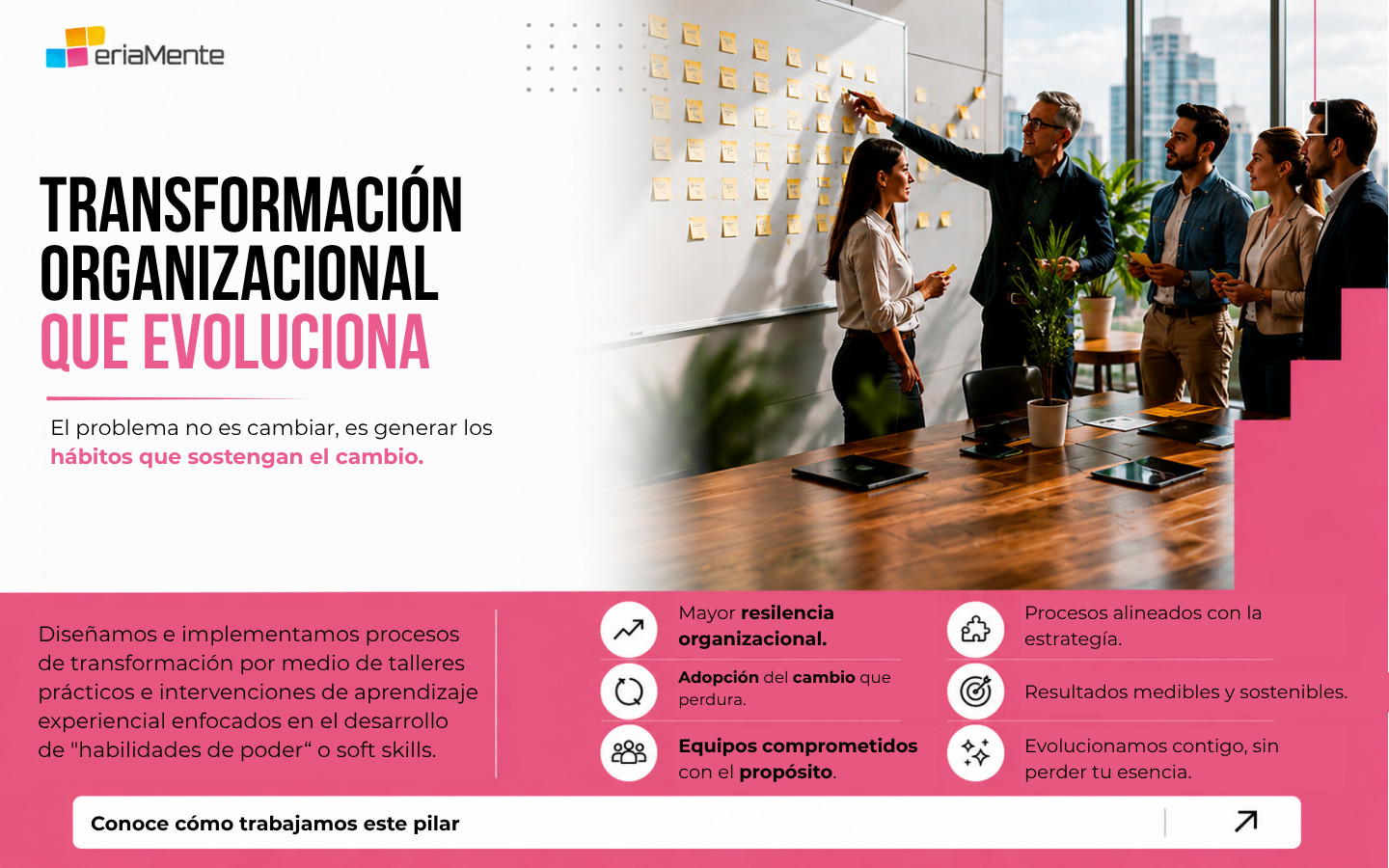 Transformación organizacional