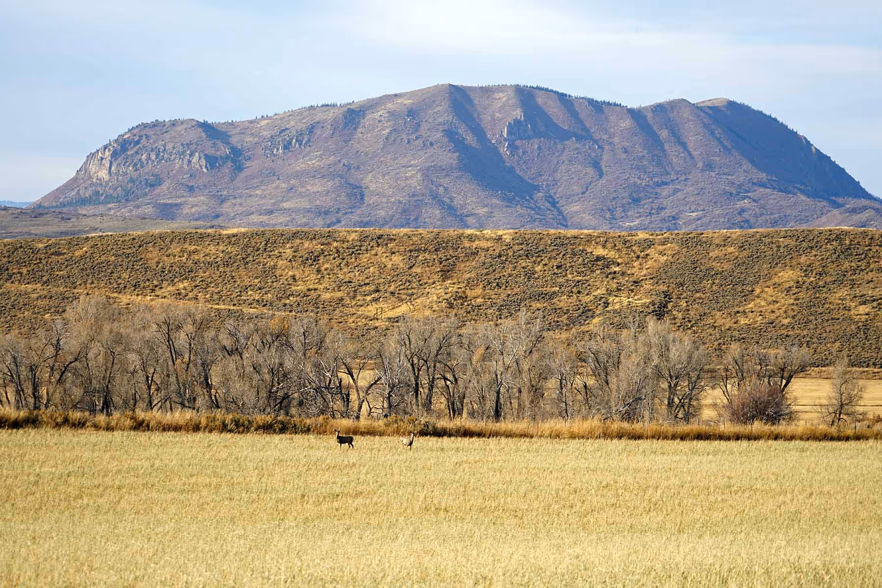 Sleeping Giant View meadow