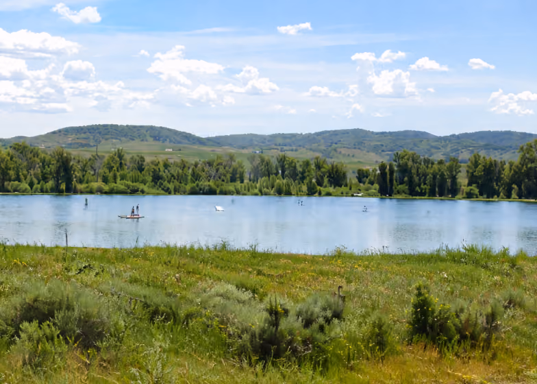 A calm lake with people paddleboarding surrounded by green trees, grassy foreground, and hills under blue sky.