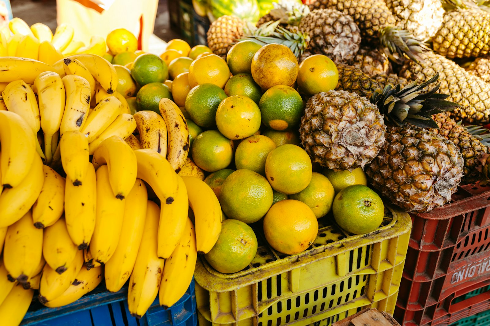 Fresh fruit in crates ready for shipment