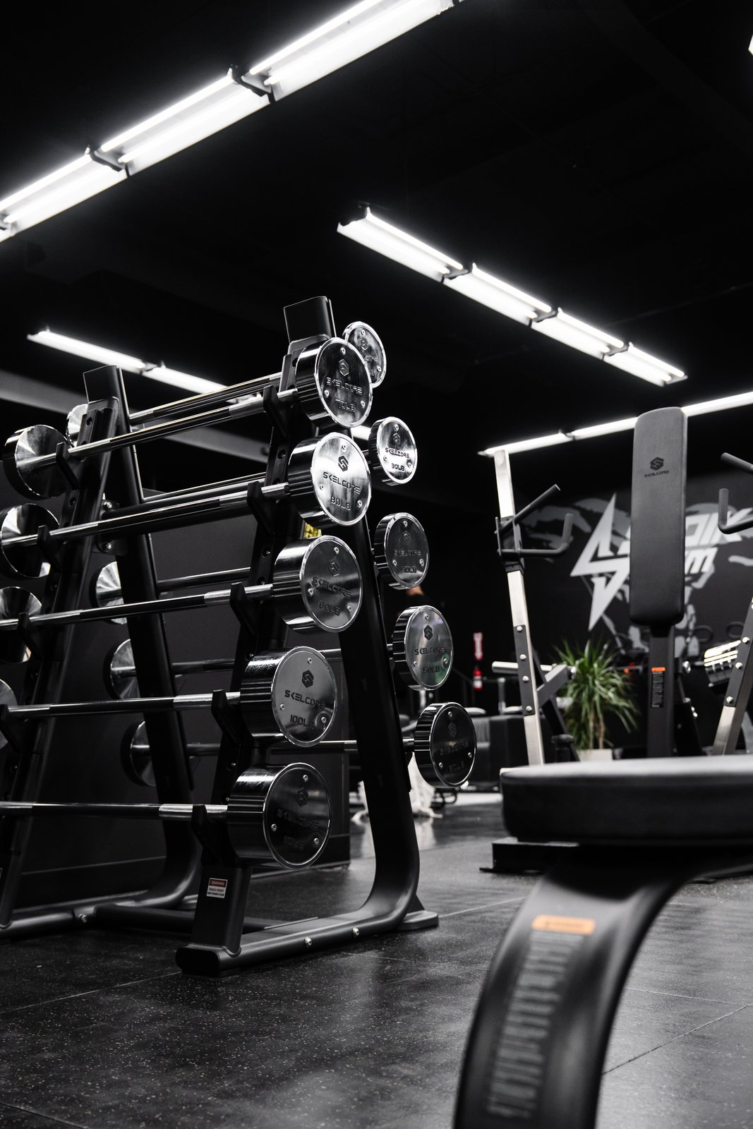 Skelcore gym fit-out
