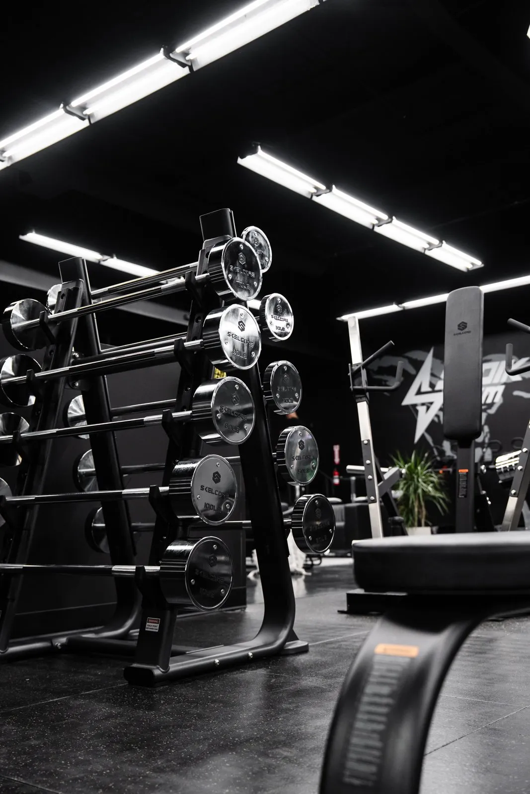 Skelcore gym fit-out