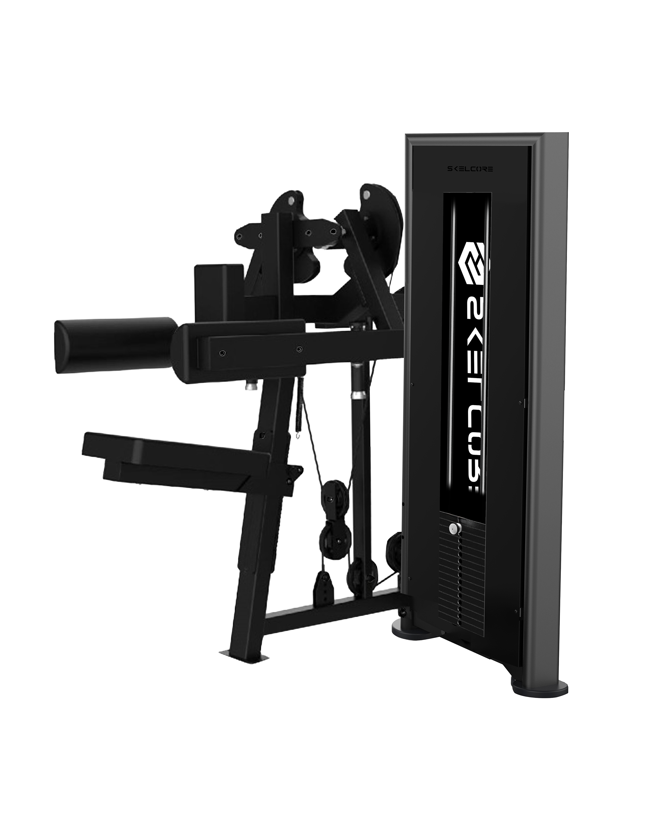 Apex Pin Loaded Lateral Raise