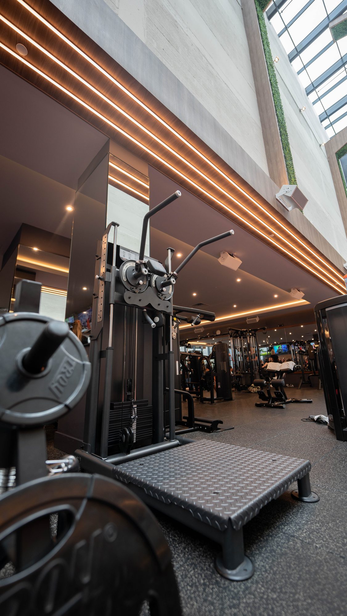 Anatomy South Beach strength floor