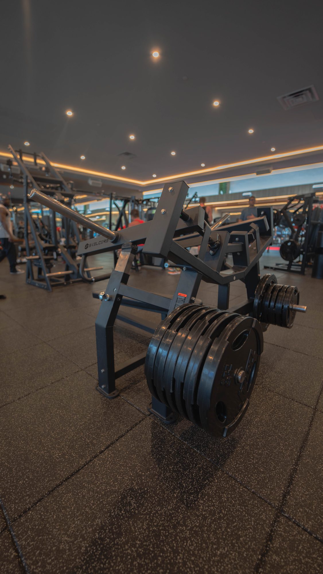 Anatomy South Beach — Skelcore plate-loaded press