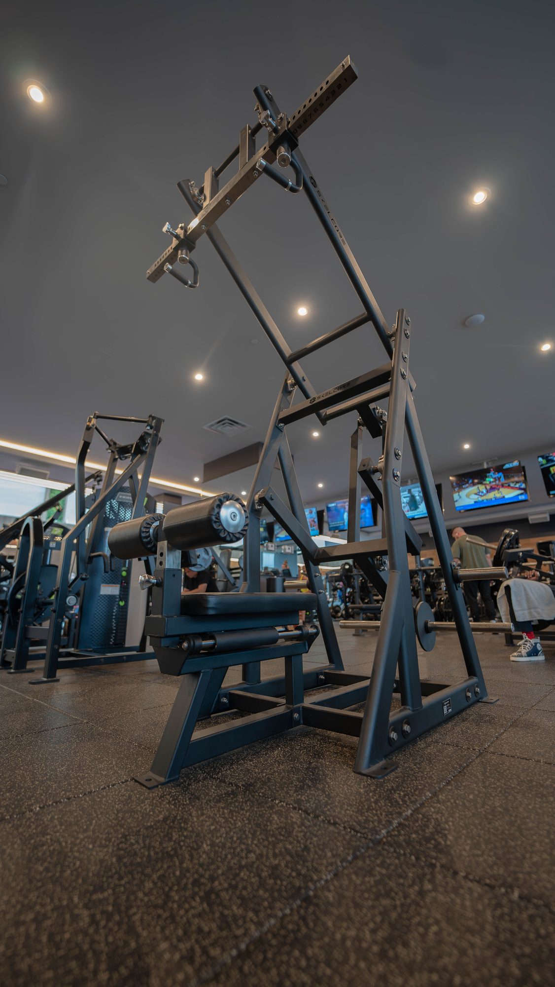Anatomy South Beach — Skelcore plate-loaded machine