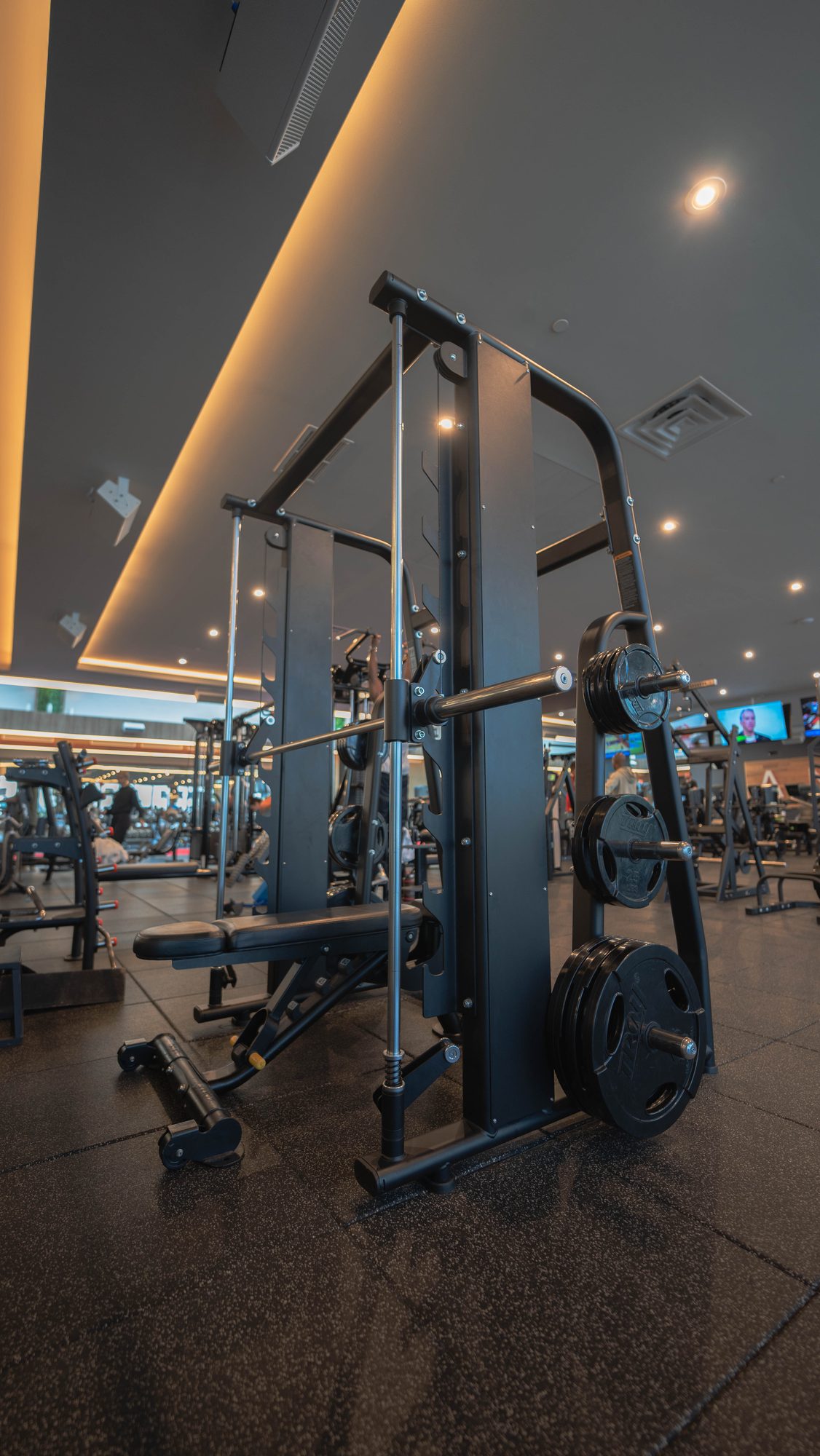Anatomy South Beach — smith machine