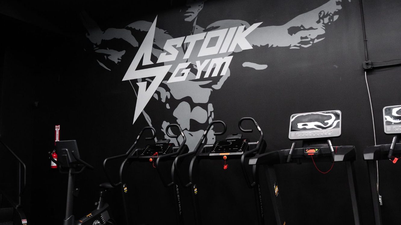 Stoik Gym – Skelcore installation