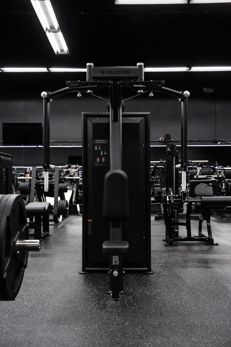 Stoik Gym – Skelcore installation