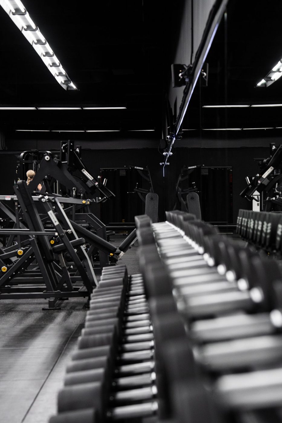 Stoik Gym – Skelcore installation