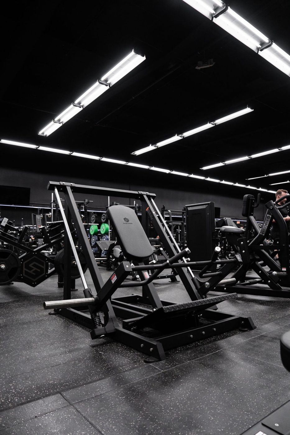Stoik Gym – Skelcore installation