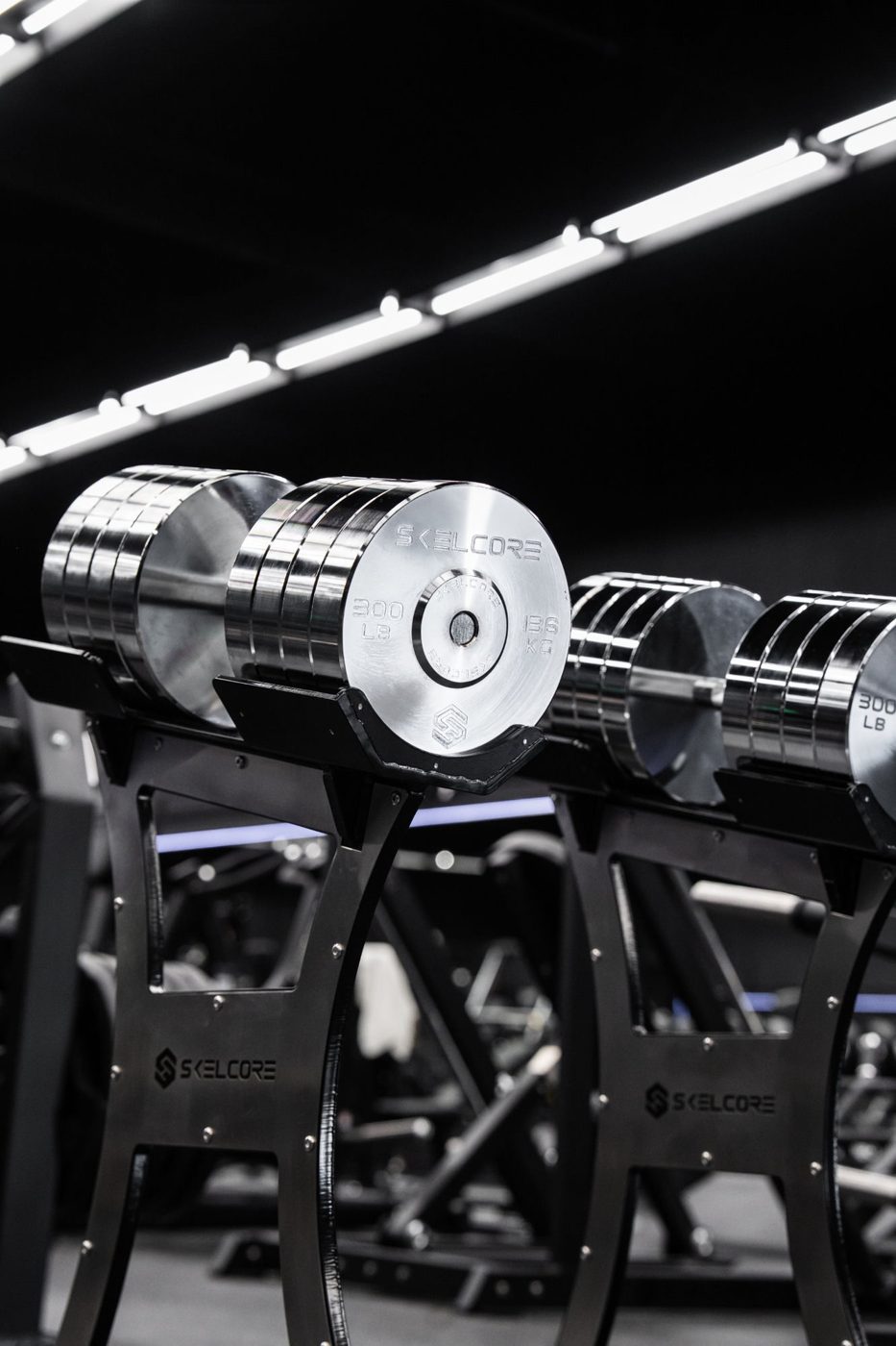 Stoik Gym – Skelcore installation