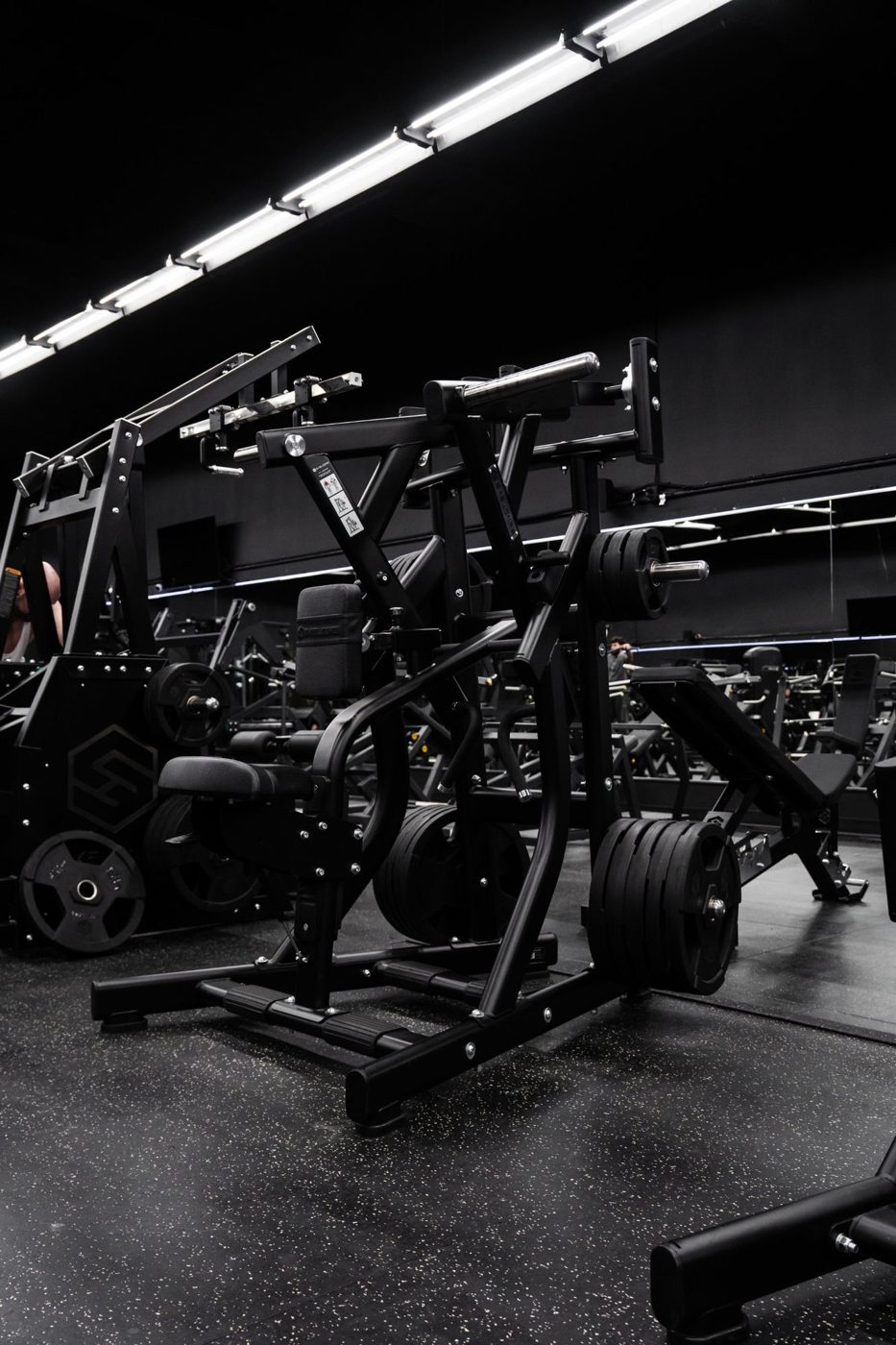 Stoik Gym – Skelcore installation