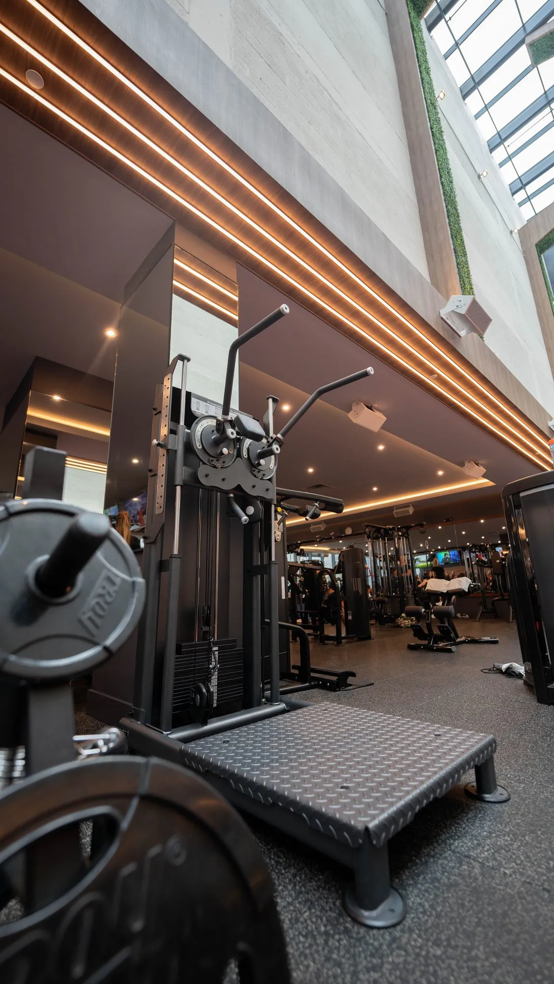 Anatomy South Beach strength floor