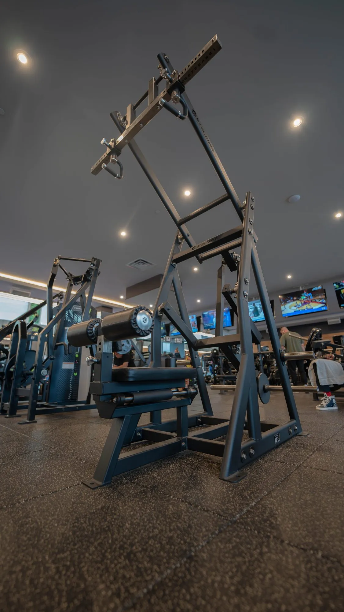 Anatomy South Beach — Skelcore plate-loaded machine