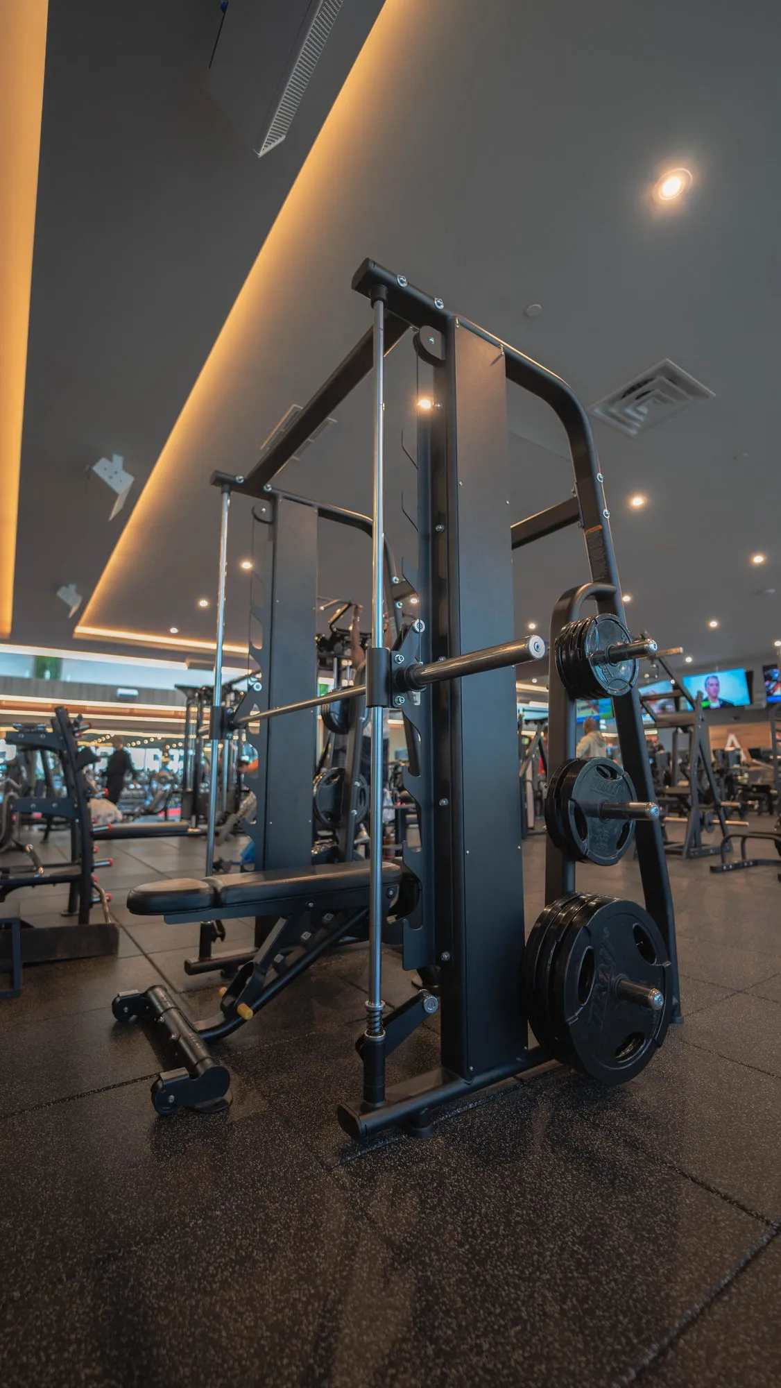 Anatomy South Beach — smith machine
