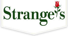 Strangers - CommonThread field service software