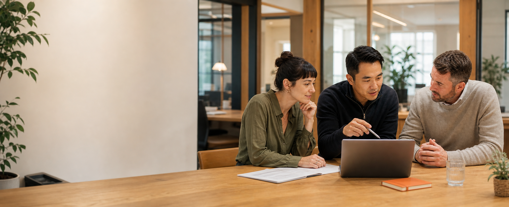 Business leader, technology partner and finance adviser reviewing a software project