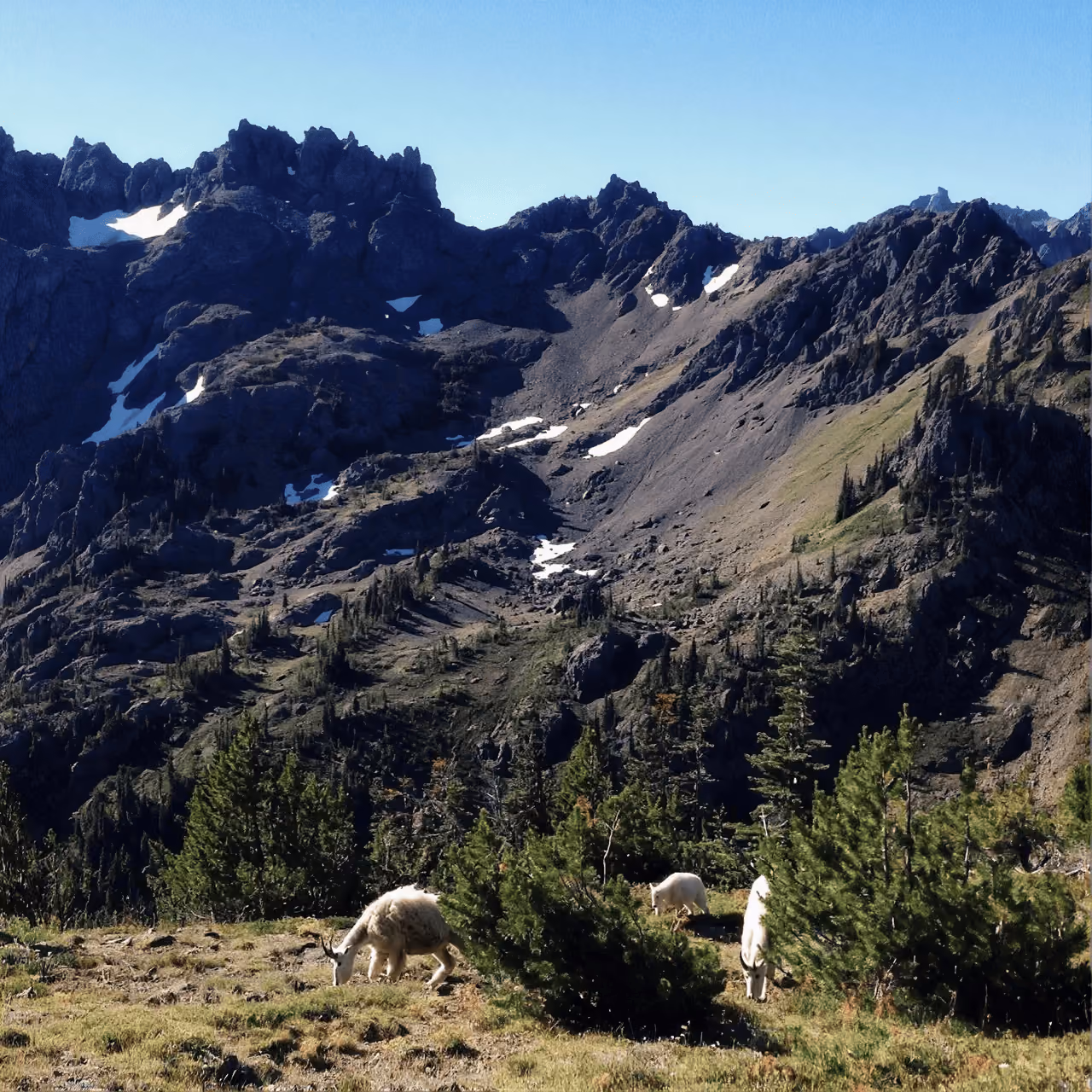 Hiking trail in the Cascade mountains near Bonney Lake, WA