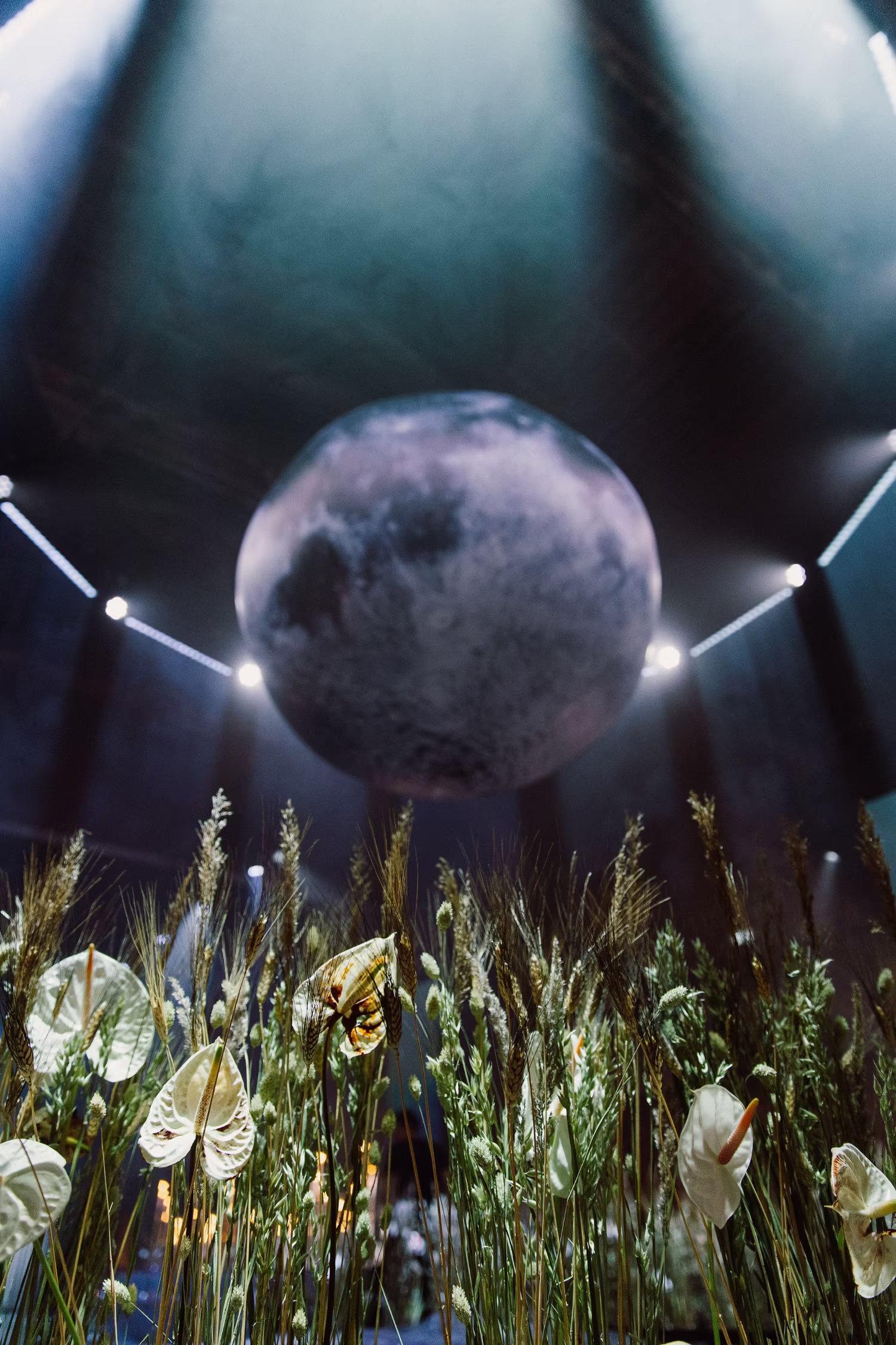 Close-up of white flowers and tall grasses with a large illuminated moon replica in the dark background.